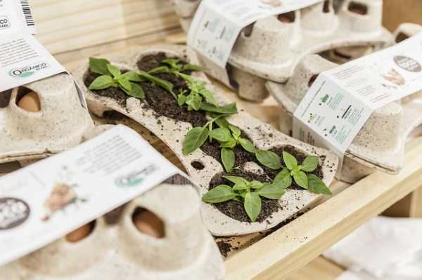 Biofach